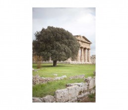 paestum - salerno - templi - greci - alberto strada